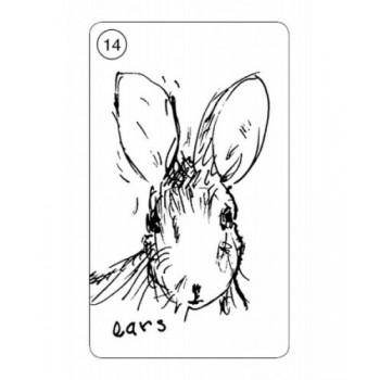 Carrot Cards Taro Kortos Schiffer Publishing